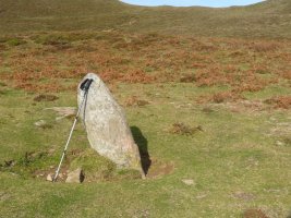 Bagazelaiko zutarria