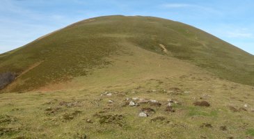 Sagardegiko lepoko harrespilak