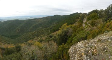 Aritzdigorriko gailurra