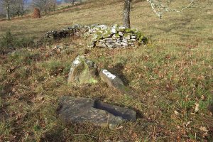 Arrutala 2003ko Urtarrilaren 18an