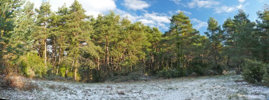 Lepoa eta bidegurutzea gailurretik hurbil