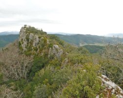 Aginagako Harriko gailurra