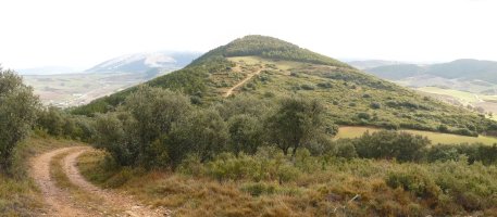 San Martin, Txaparrotik