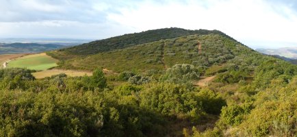 Txaparro San Martingo hegietatik