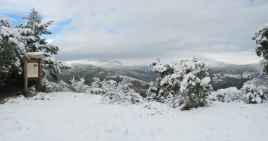 Langa eta kartela, Zaziaingo gandorraren hasieran