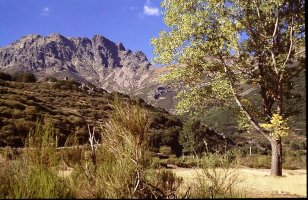 Curavacas, Vidrieros herritik