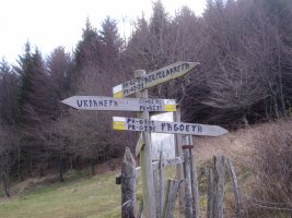 Bide gurutzea Urdanetan