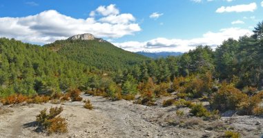 Alduko Harria, Itzalleko bidetik