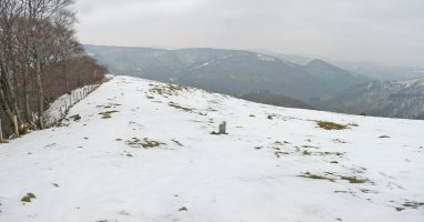 Bidegorrietako harrespila