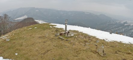 Urepelgo tumulua, mendikoi gailur-gailurrean