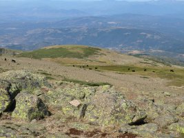 ZEZENAK CANCHAL DE LA CEJAN