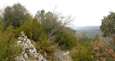 Soroluzetako gailurra