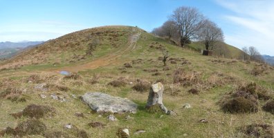 Azaldegiko lepoko trikuharria