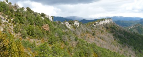 Arazekiko gandorra. Atzean, elurrak Atuzkarratz zigortzen du