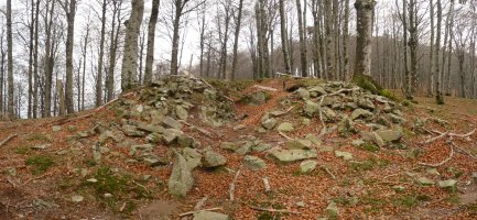 Saratxakolegiko trikuharria, Kipular aurreko lepoan