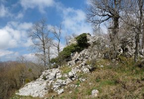Orobeko Haitzeko gandorra