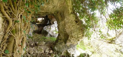 Harpeak gailur azpian