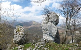 Gendarmeak gailurraren inguruan