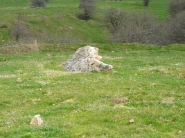 Zubimeharreko errekako trikuharria