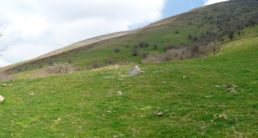 Zubimeharreko errekako trikuharria