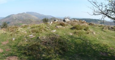 Maiko Gaña trikuharria