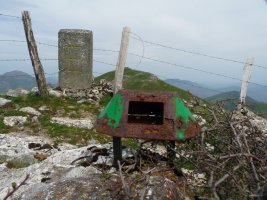 Mendimotxako buzoi zaharra eta 177 zenbakidun mugarria