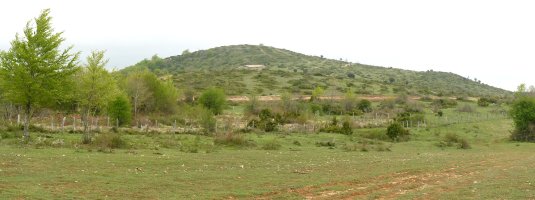 Zikilamendi gaina Larrondoako larreetatik