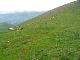 Adartza eta Mendimotxa arteko lepoan