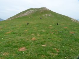 Adartza eta Mendimotxa arteko lepoan