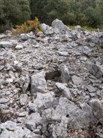 Bi monumentuak plano berean