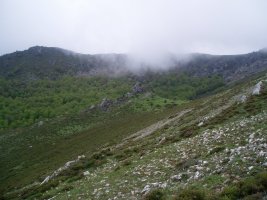 Umion hego-mendebaldeko pagadia