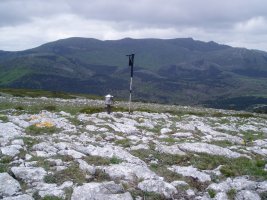 Mancubo tontorretik Verdina, Buey, ...