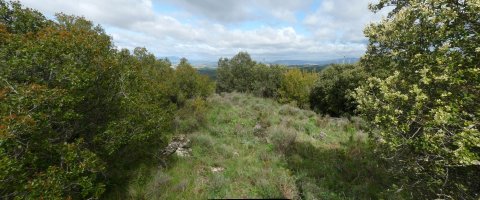 Sarrea-Oihanburu gaineko gailurra