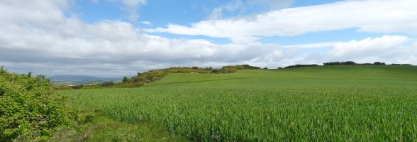 Sarrea eta Buskil arteko soroak