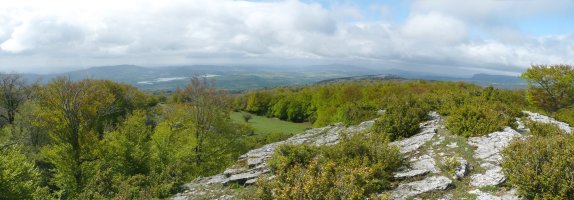 Gora egin ahala pago eta larreak nagusitu