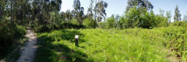 Saierri muinoa tumulua