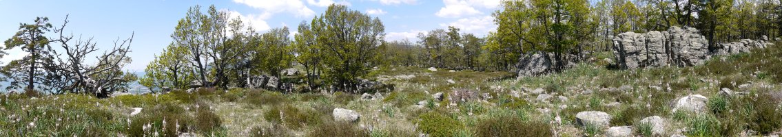 Mendebaldeko bizkarreko pasarte bat