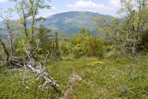 Igoerako bidezidorra, Salvatierrako pista eta mendebaldeko bizkarra bitartean.