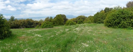 Bi gailurren arteko larreak