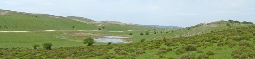 Saratsako ur putzuak