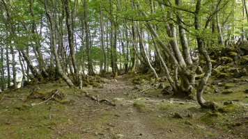 Bizkarreko bidea Baztanibar aldean