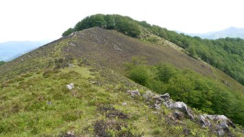 Tontorra Buztanibar aldetik ikusita