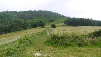 Aganduru aldeko bidea