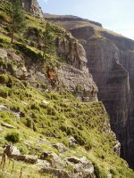 Fajeta erlaitzera bidean