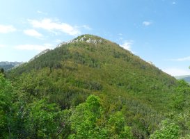 Belabarsaitsa Sanzolotik