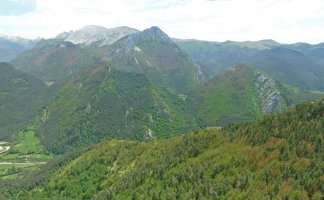 Sanzolo eta Belabarsaitsa, Ezkaurretxikiaren begidapean