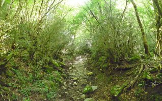 Izaba eta Belabartze arteko bidea