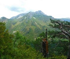 Ezkaurretxikia, bidelagun