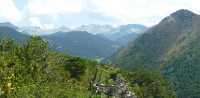 Nafar Pirinioetako handiak Sanzolotik