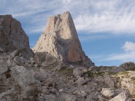 Bere bebesetxe bidean